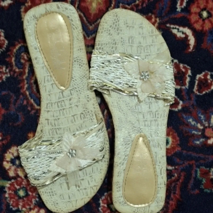 دمپایی مجلسی