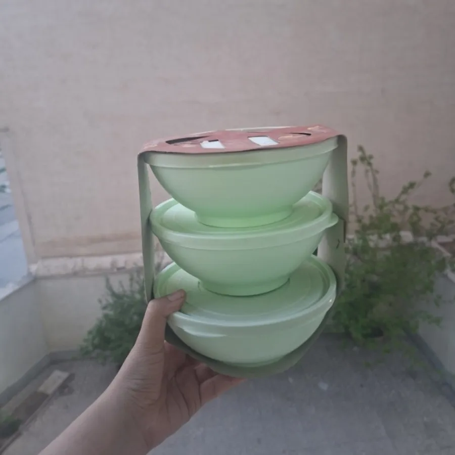 ظرف نگهدارنده