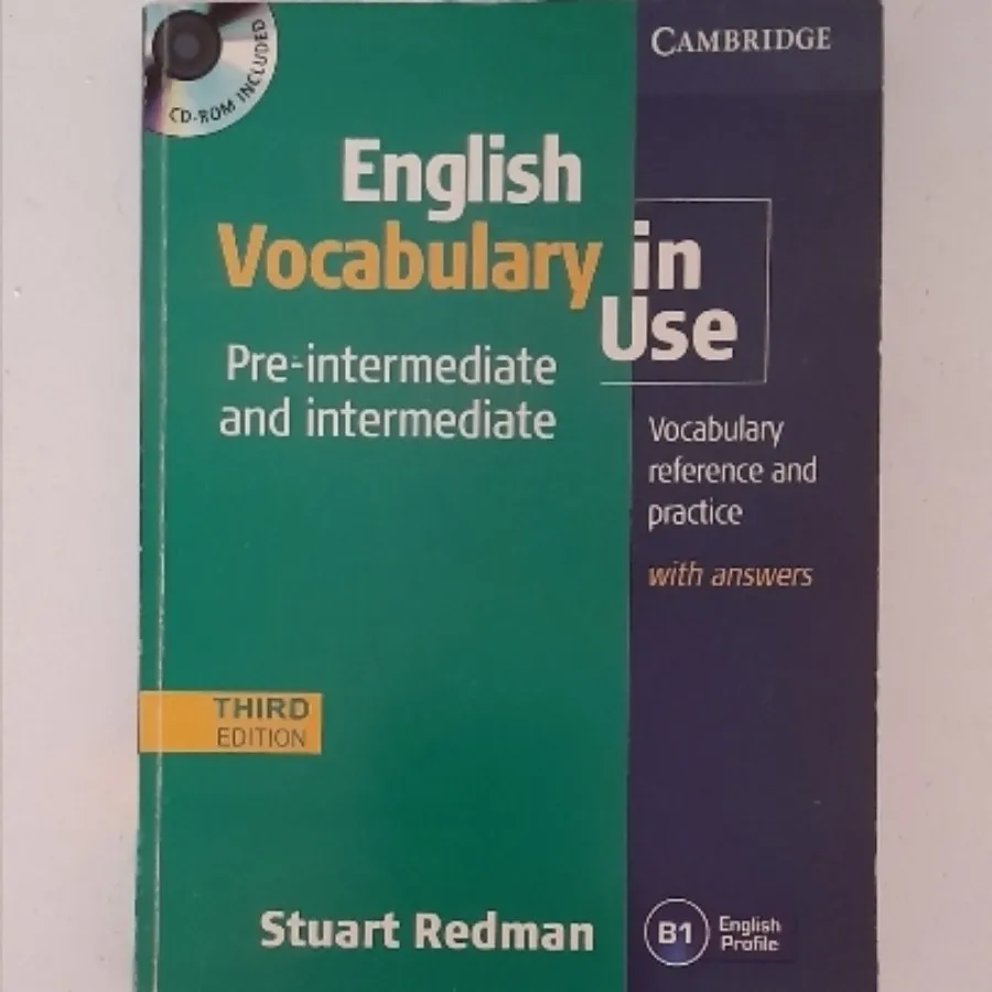 English vocabulary in use