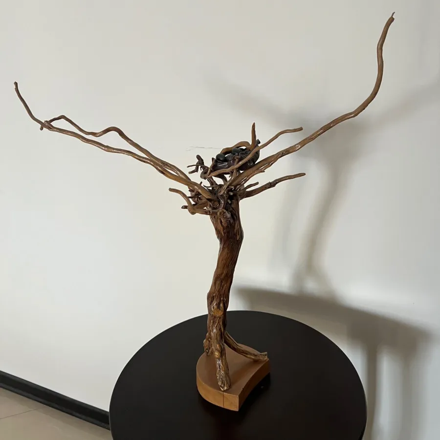 مجسمه ی زندگی