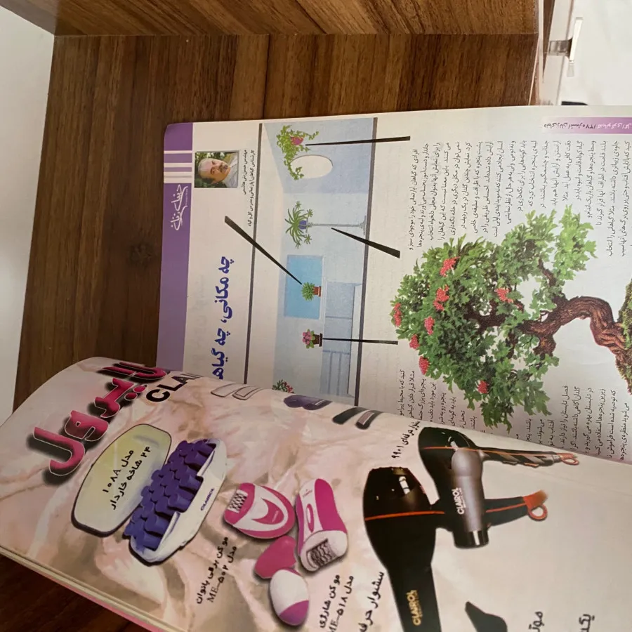 مجله دنیای زنانه