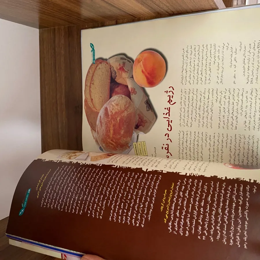 مجله
