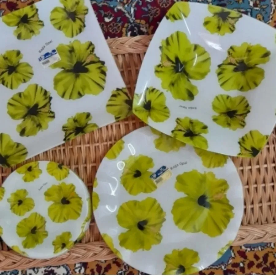 ظرف پذیرایی