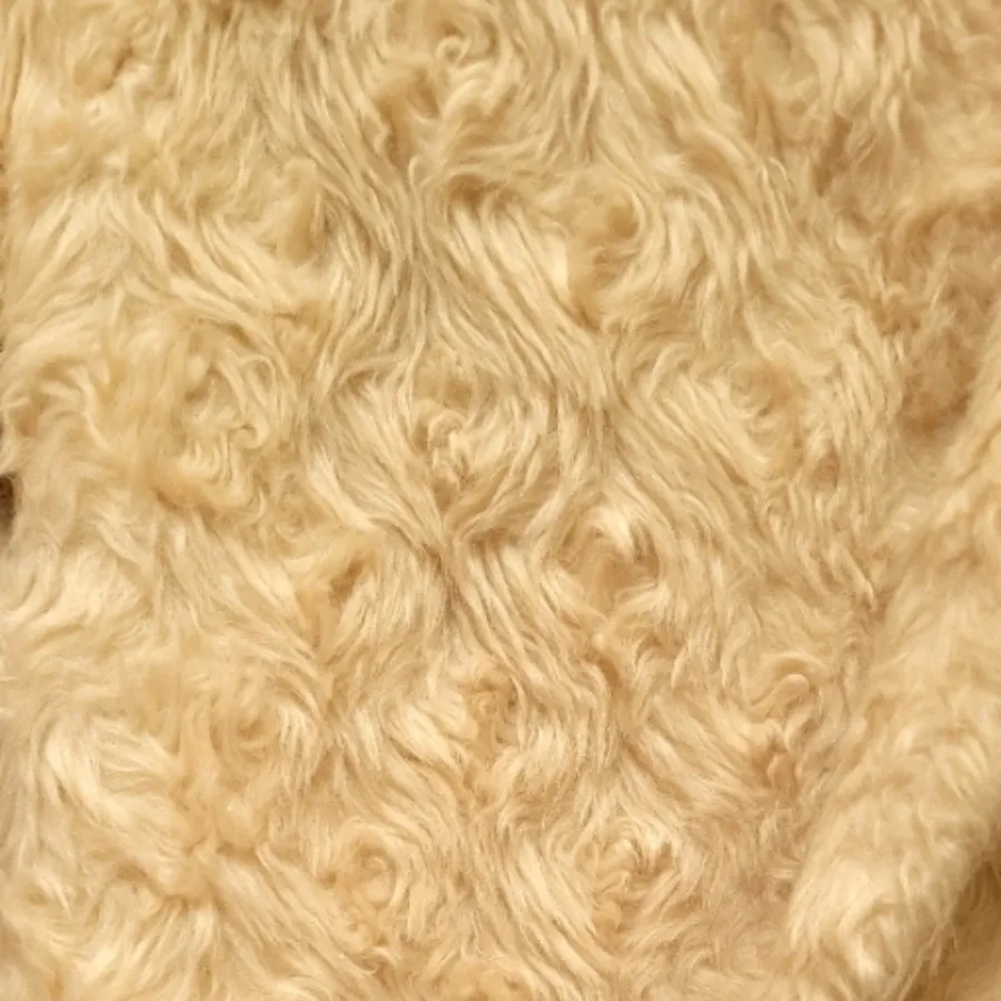 کت خز