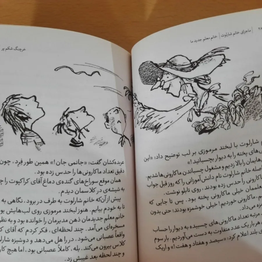 ماجراهای خانم شارلوت