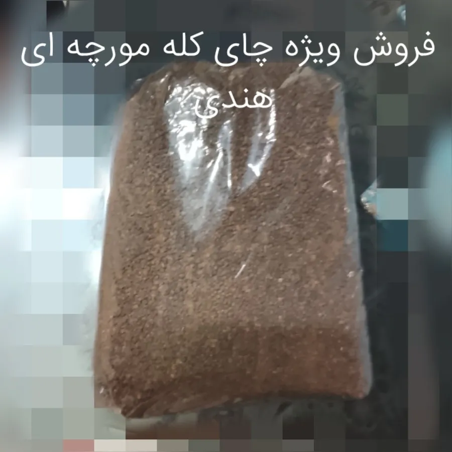 چای کله مورچه ای  هندی