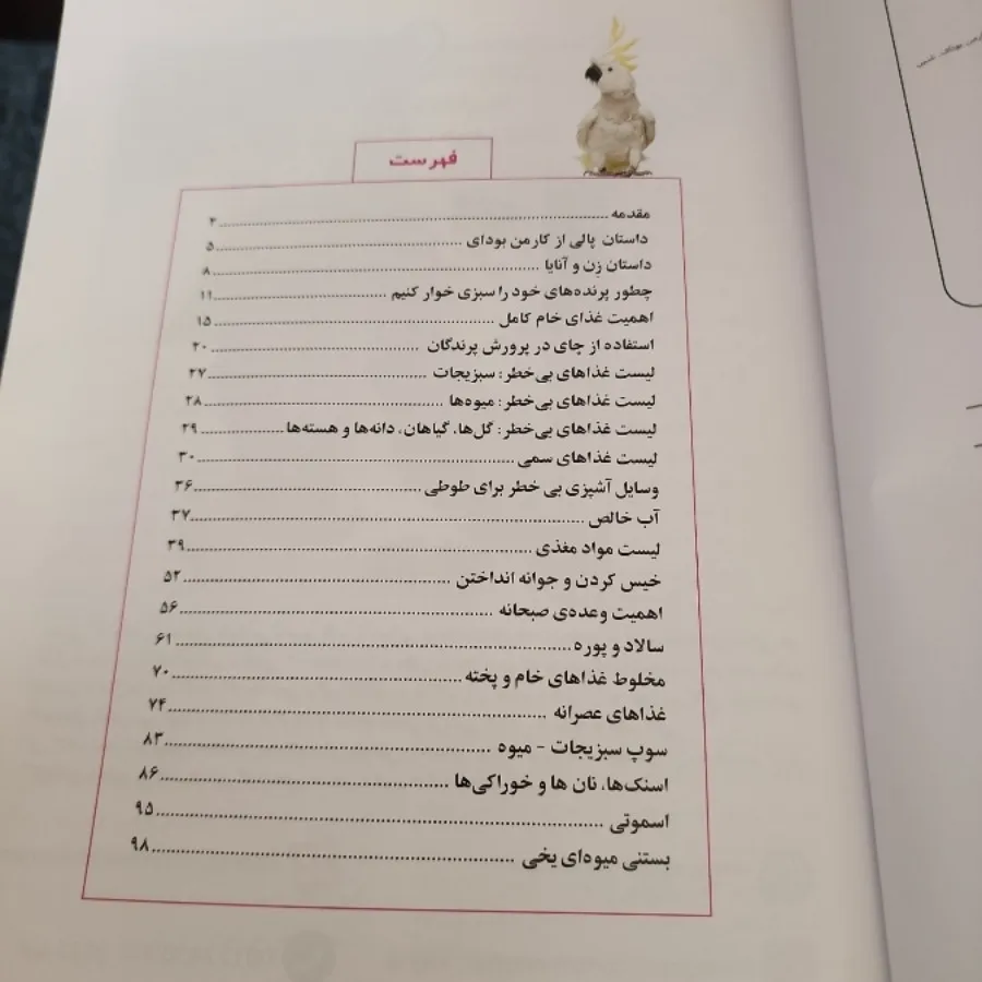 کتاب آشپزی برای طوطی