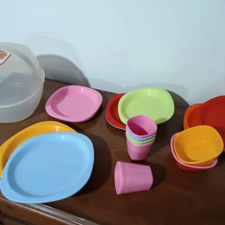 سرویس خذاخوری پیکنیک
