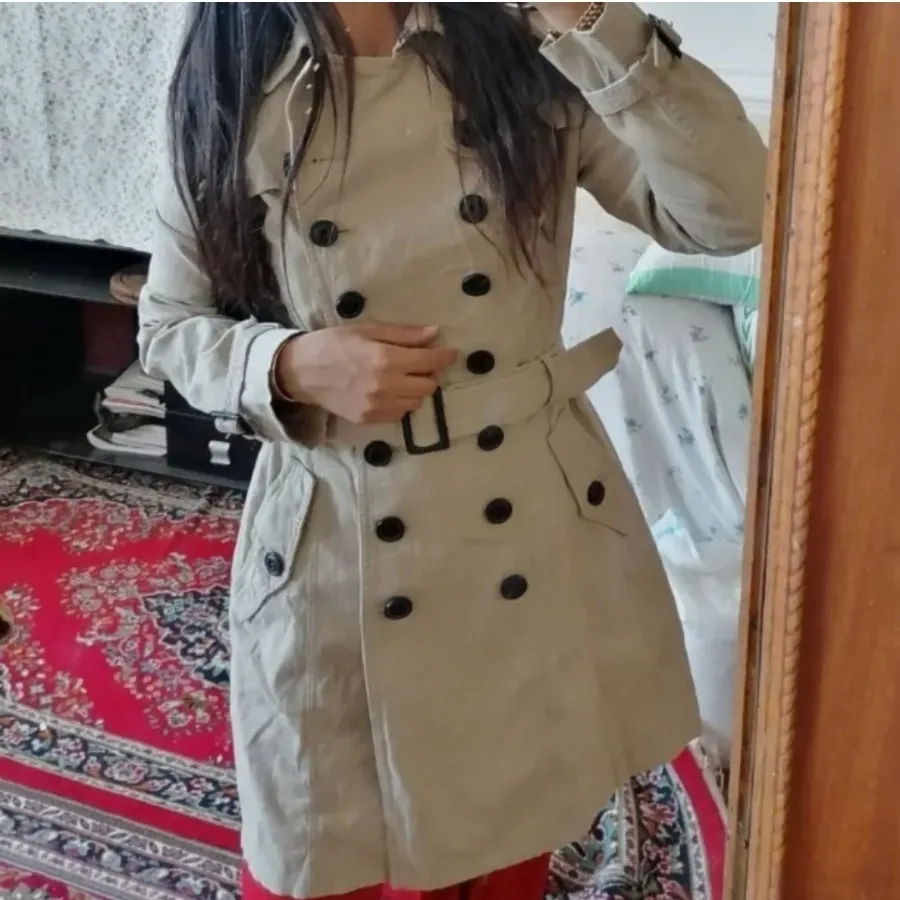 پالتو کتیmng