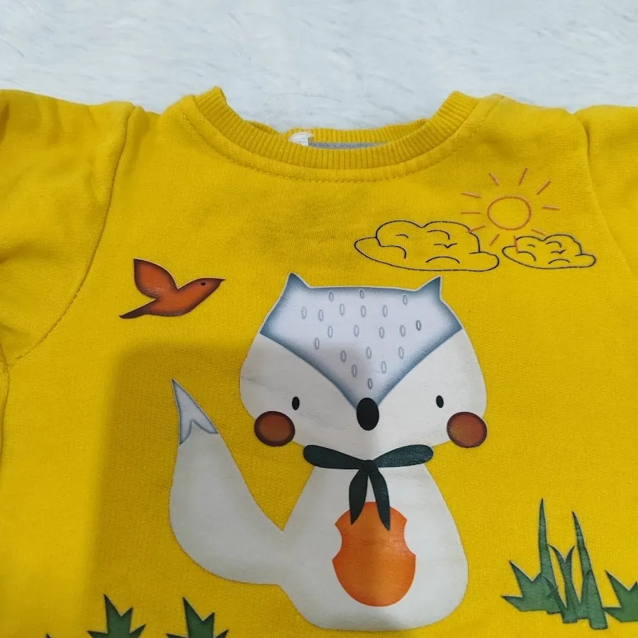 بیلر طوسی و ستش