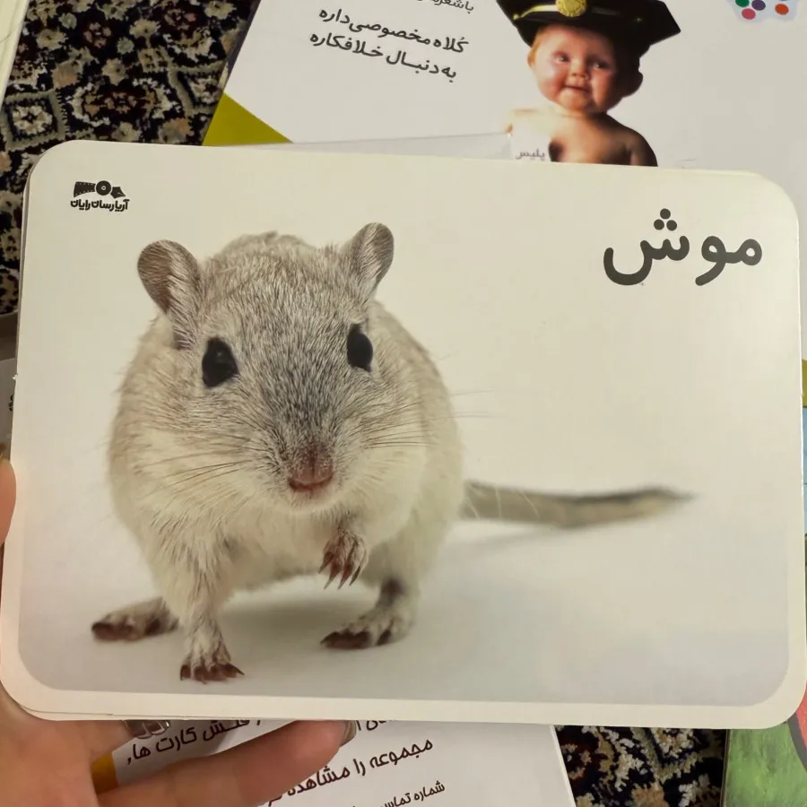 کتاب و فلش کارت