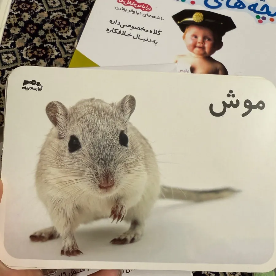 کتاب و فلش کارت