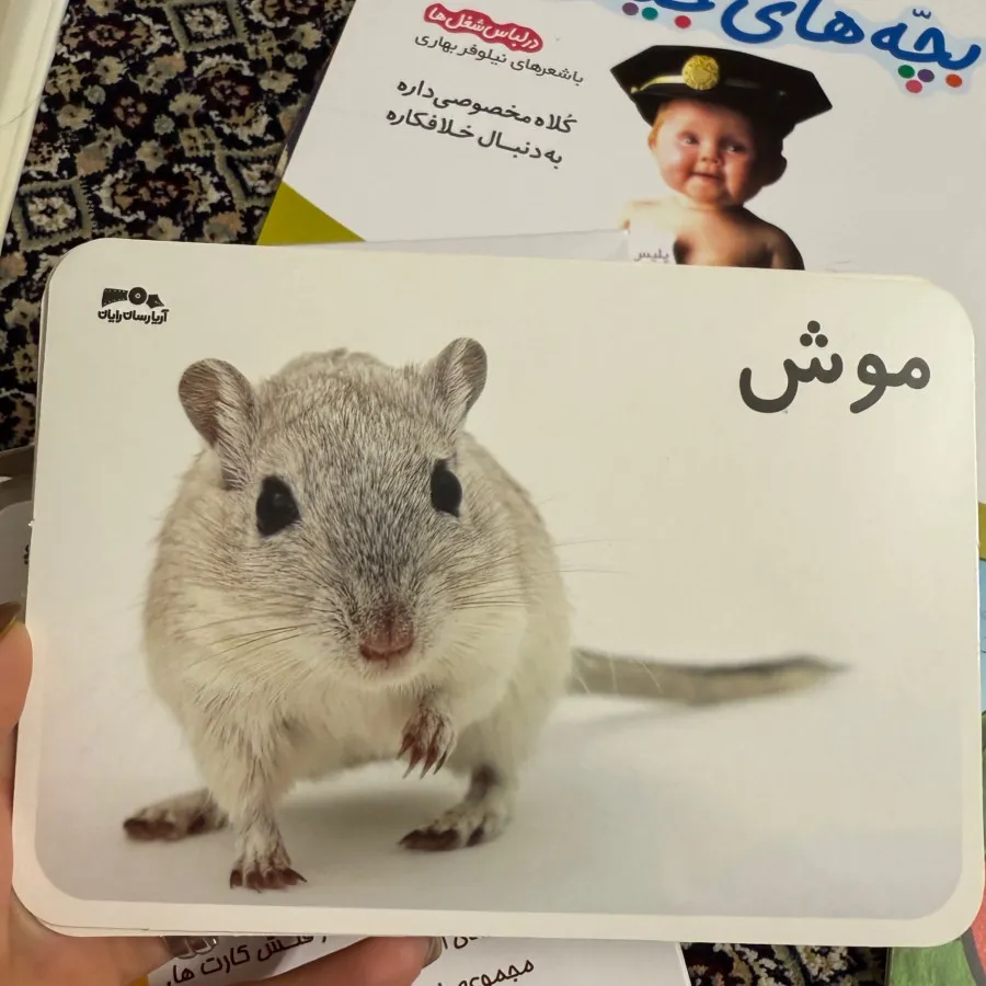 کتاب و فلش کارت