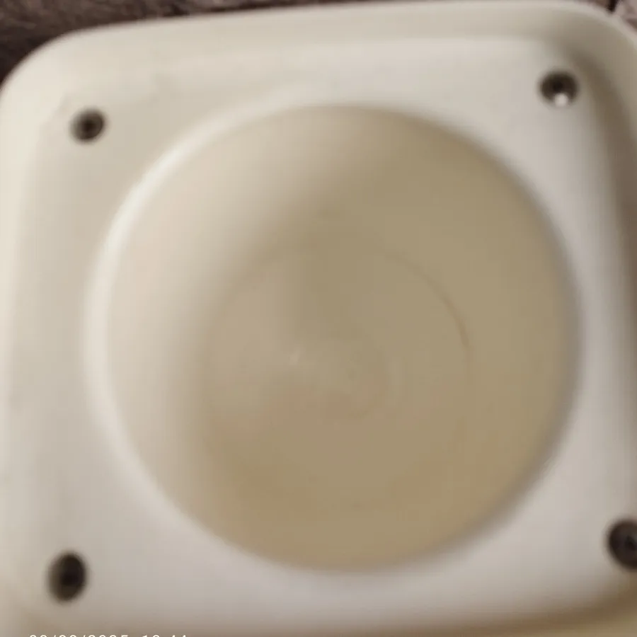 طرف غذا ژاپنی
