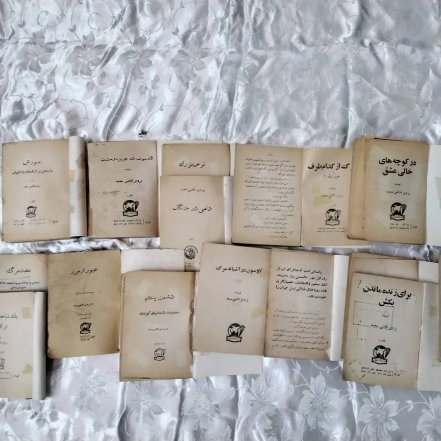 مجموعه کتاب داستان پلیسی