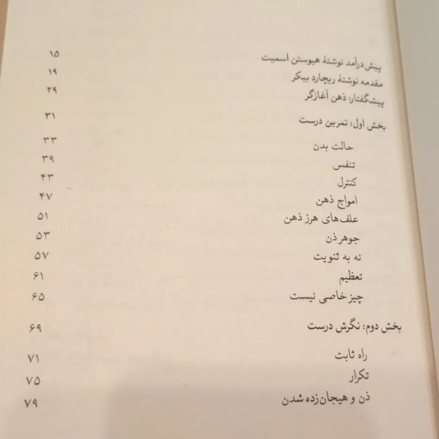 ذهن ذن ، ذهن آغازگر