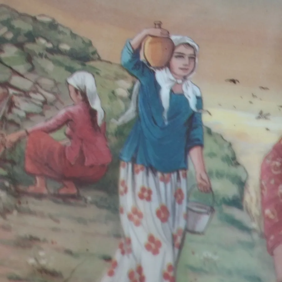 پلوخوری ملامین