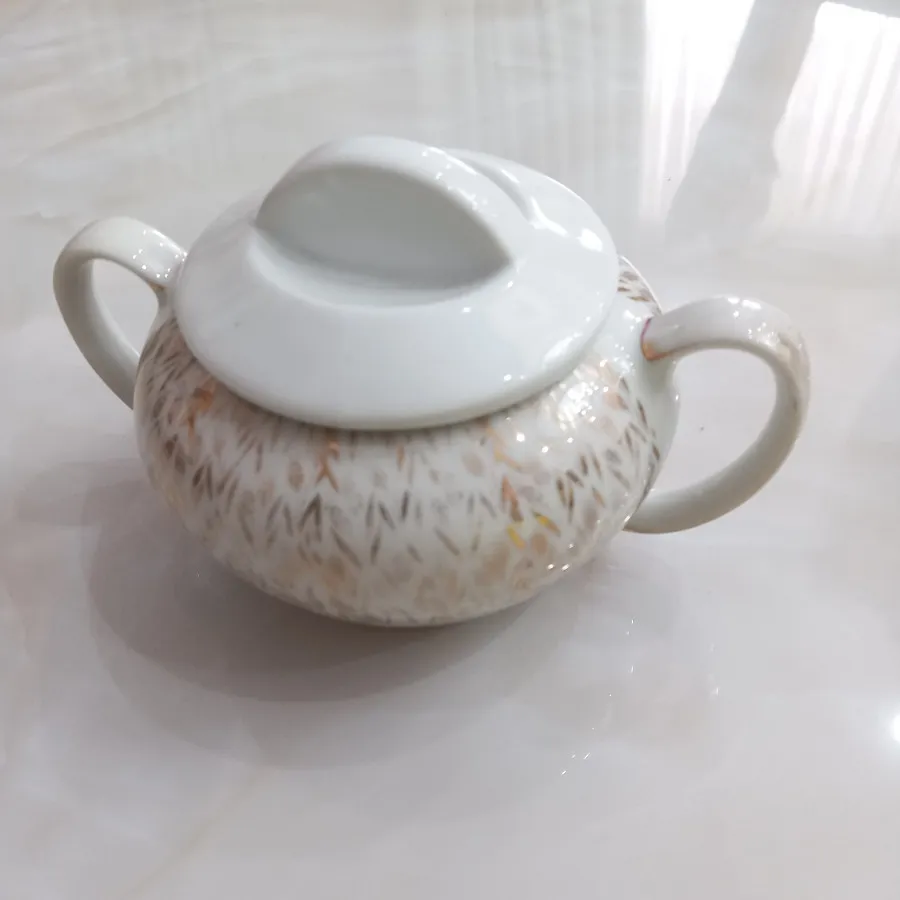 قندون چینی