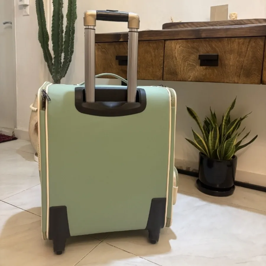 کیف حمل سگ و گربه