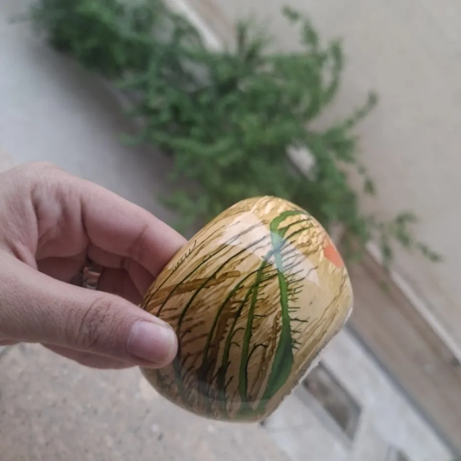 اکسسوری