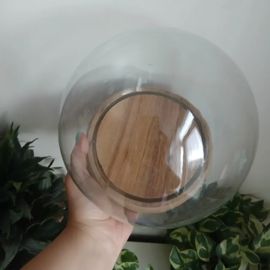 گوی شیشه ای