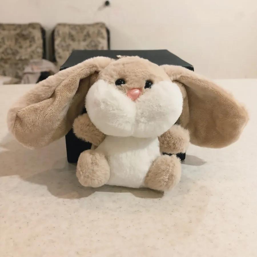 جاسیوچی خرگوش تپل