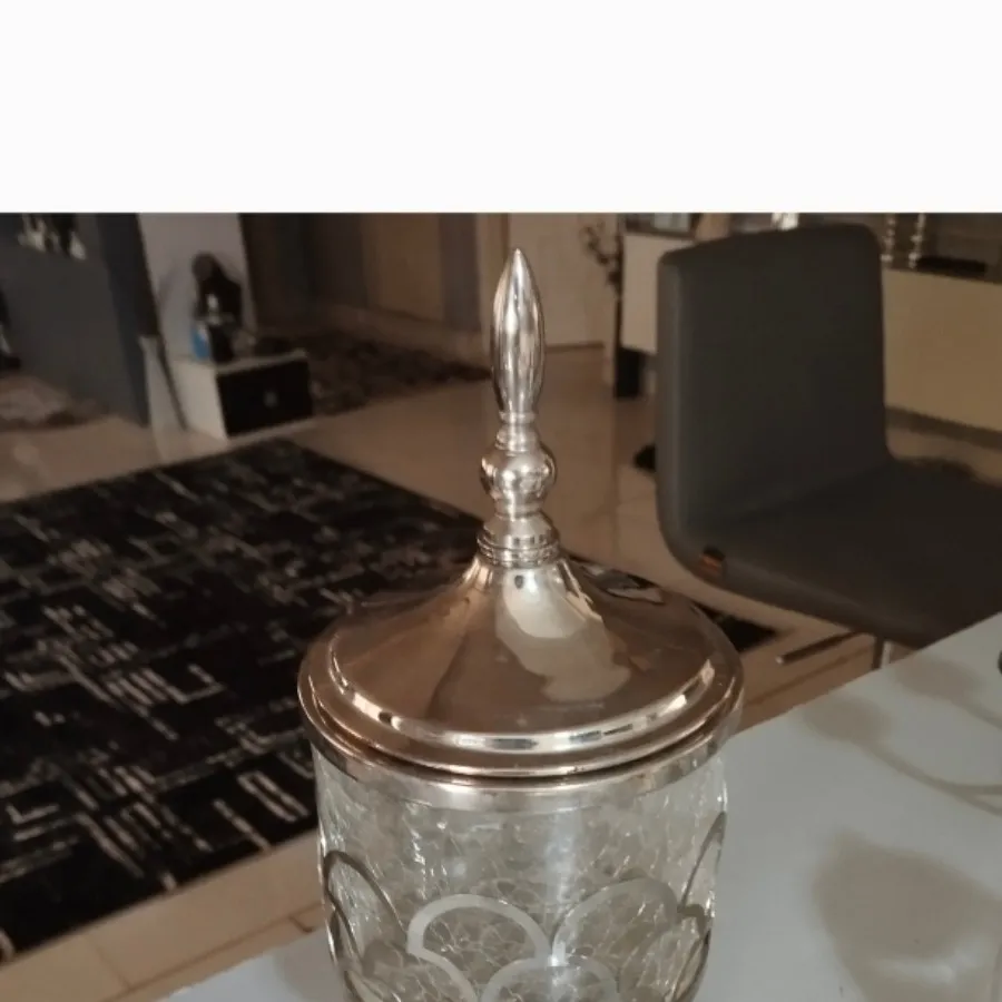 سرویس پذیرایی سیلور