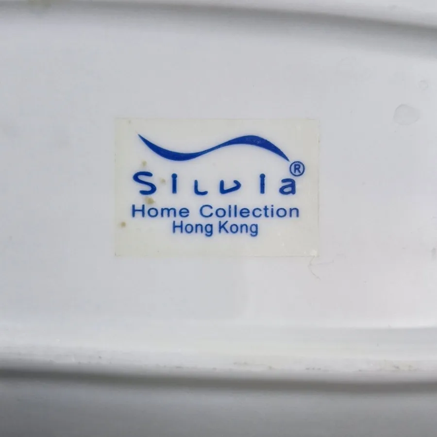 ظرف سرو