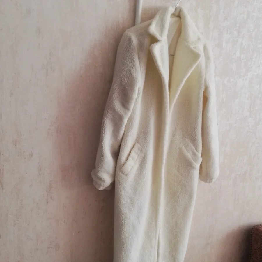 پالتو تدی