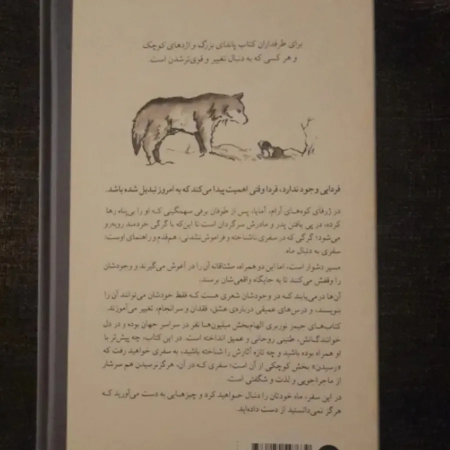 به دنبال ماه
