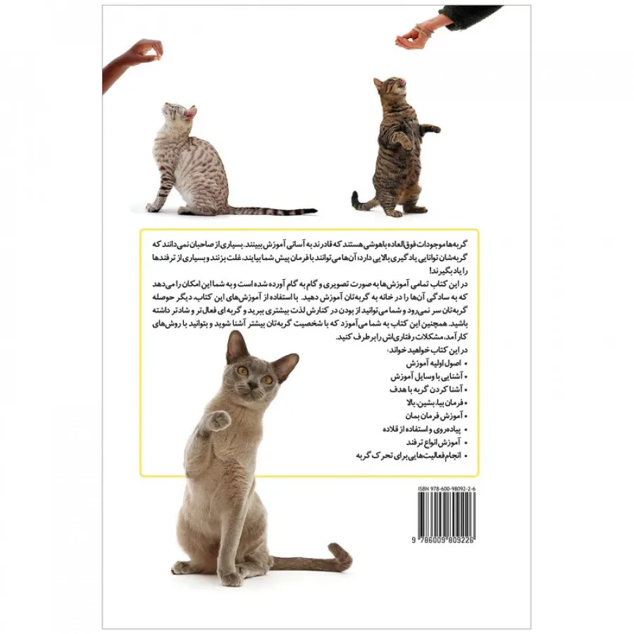 کتاب آموزش گربه
