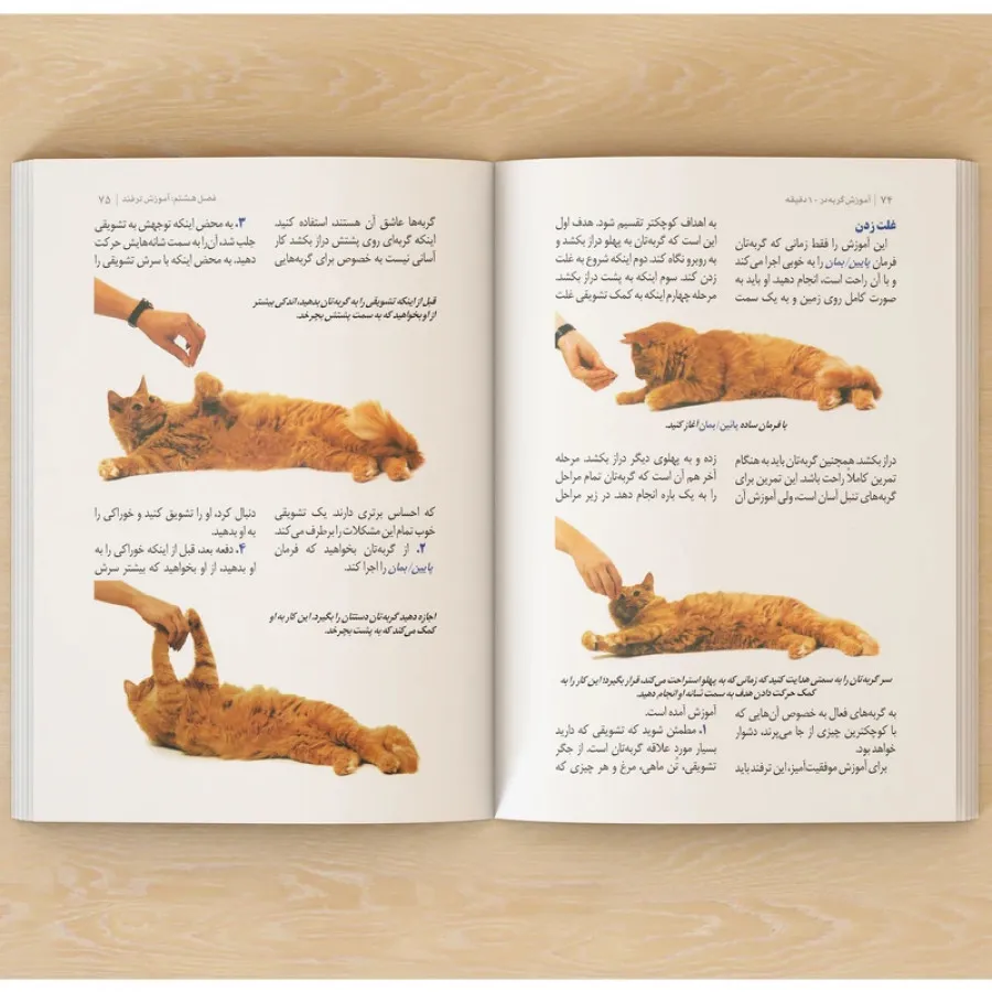 کتاب آموزش گربه