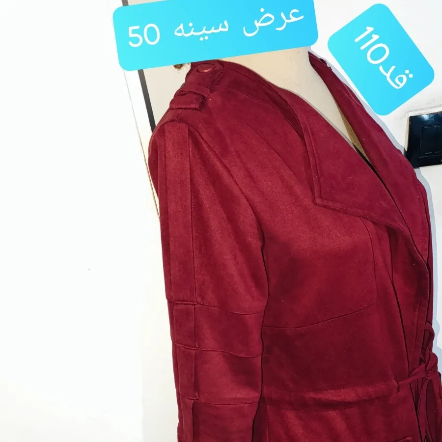 پالتو میکرو