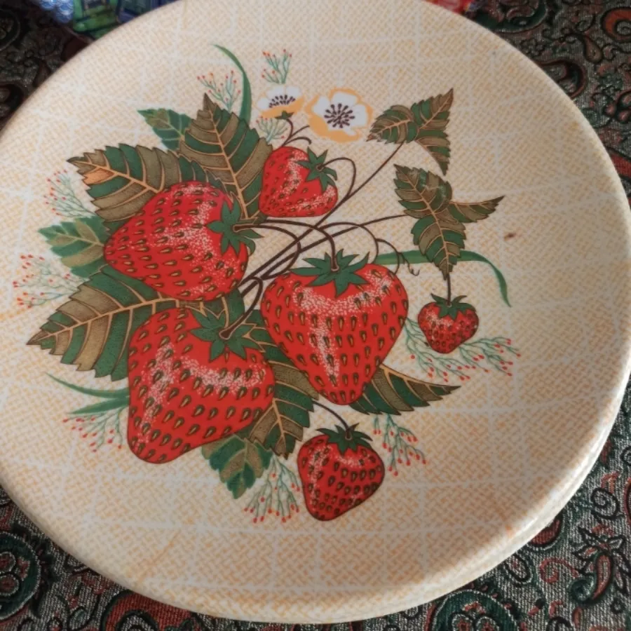 پلوخوری