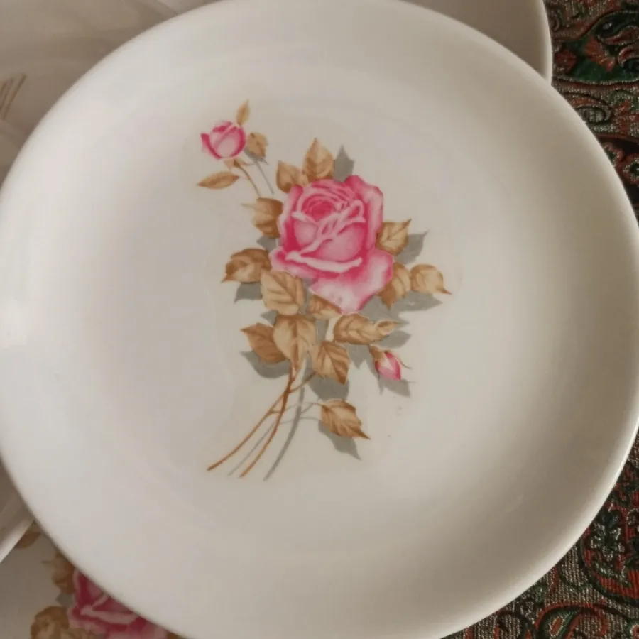 پیش دستی