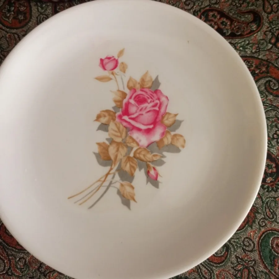 پیش دستی