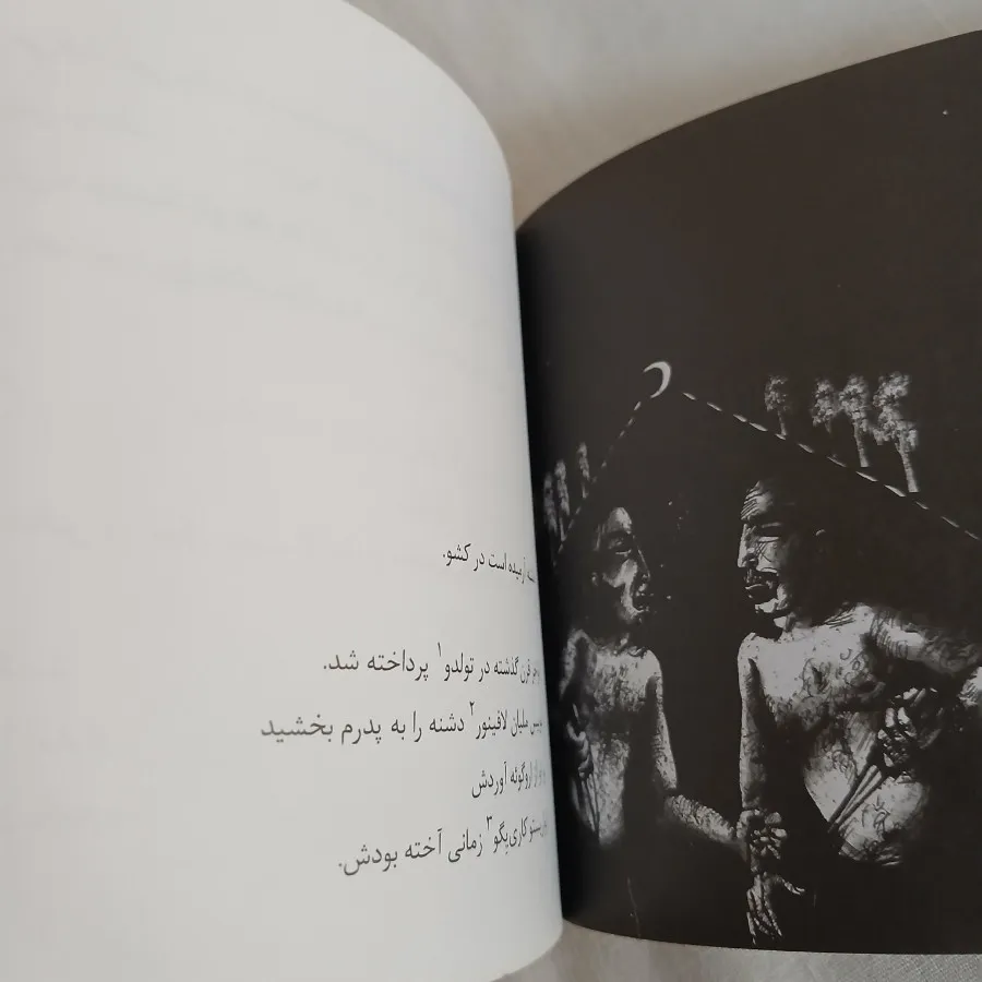 کتاب جیبی:دشنه/جنایات و..