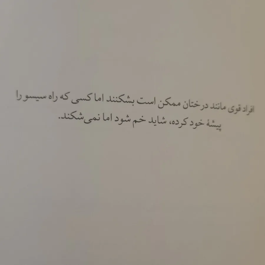 سیسو