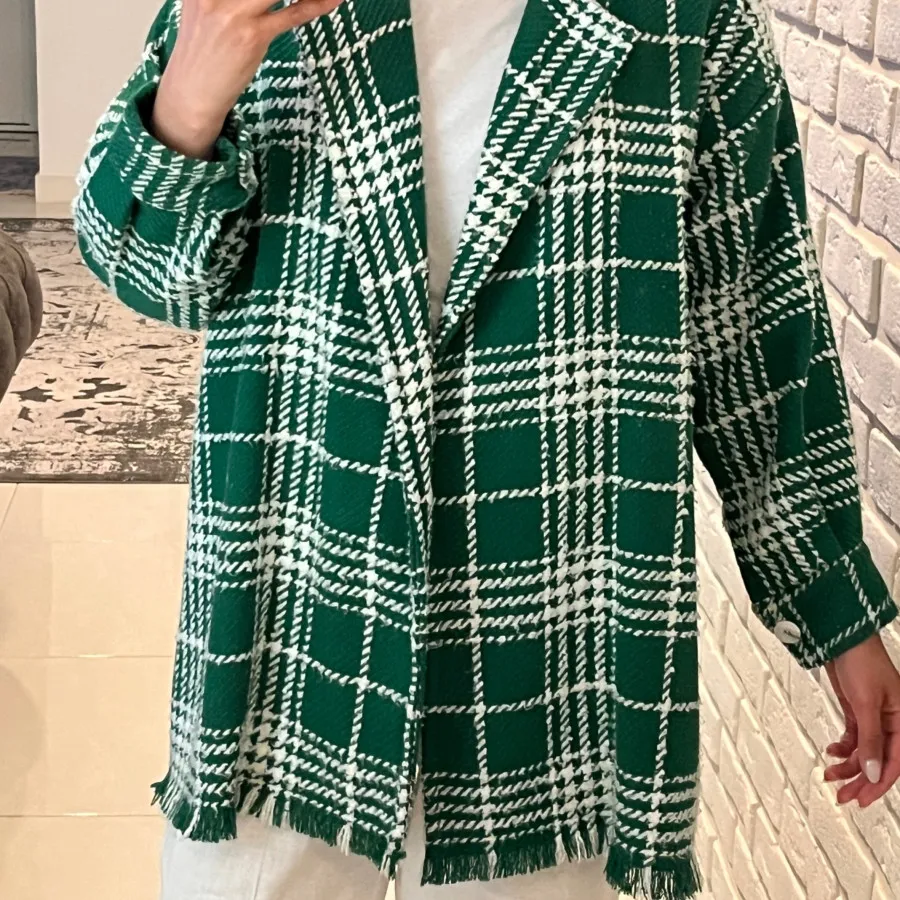 پالتو