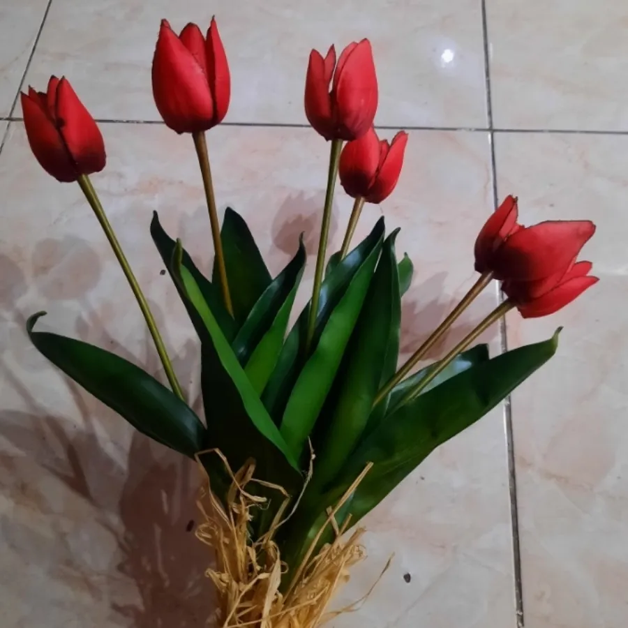 گل لاله