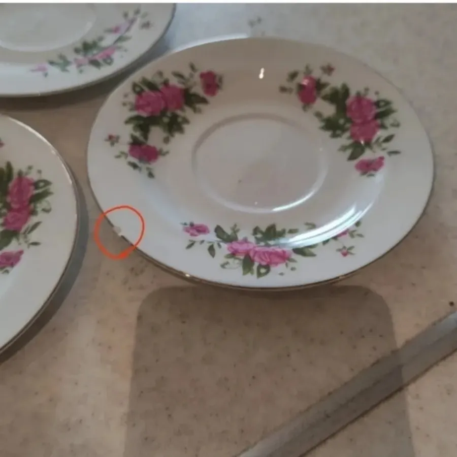 نعلبکی بزرگ گلسرخی