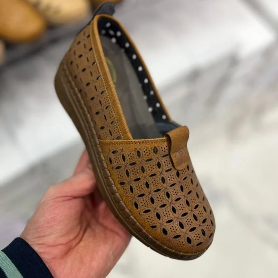کفش طبی گلریز