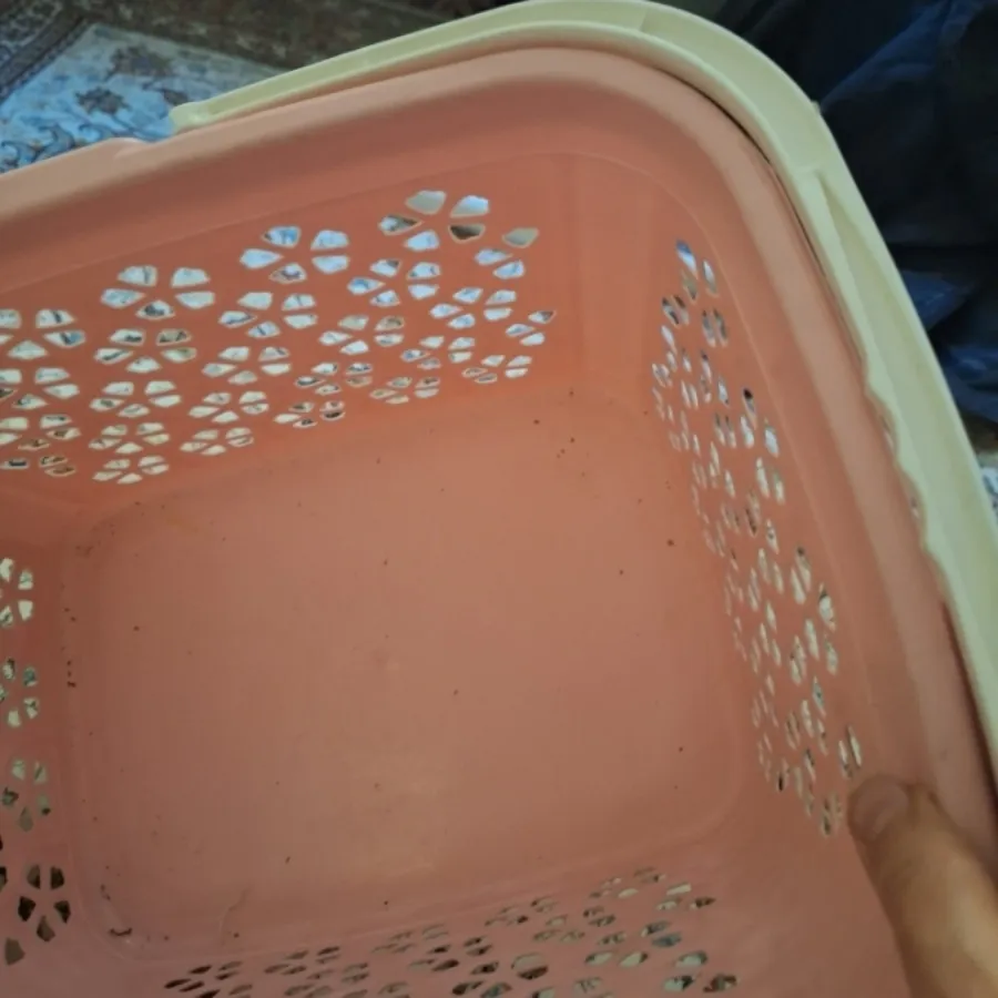 سبد پیکنیک