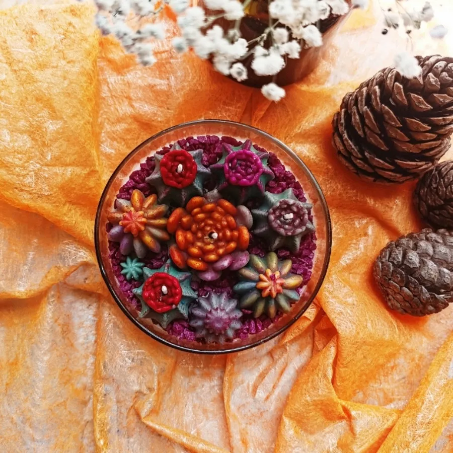 شمع باغچه کاکتوس