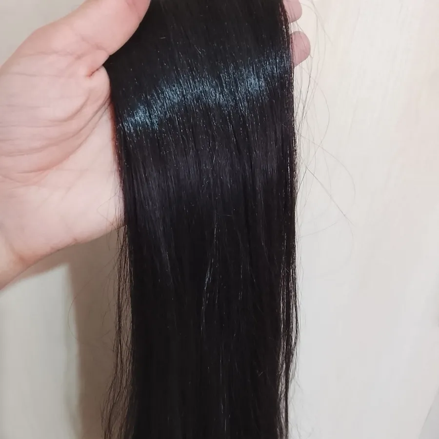 مو دم اسبی