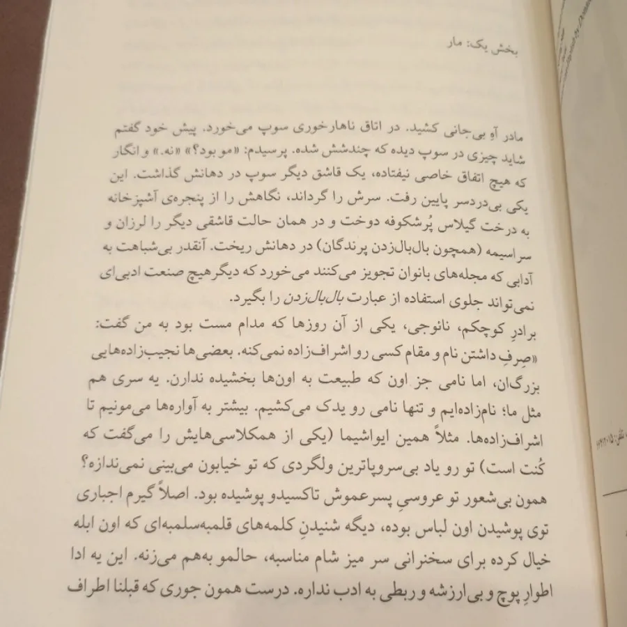 شایو