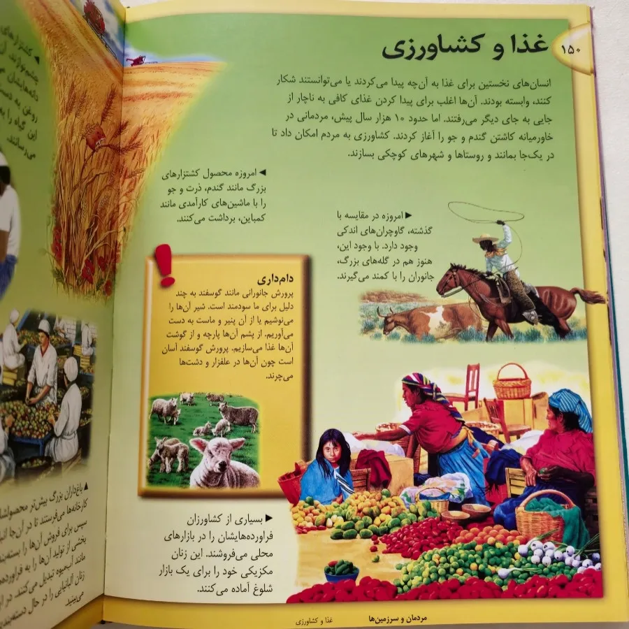 دانشنامه ی تصویری نوجوان