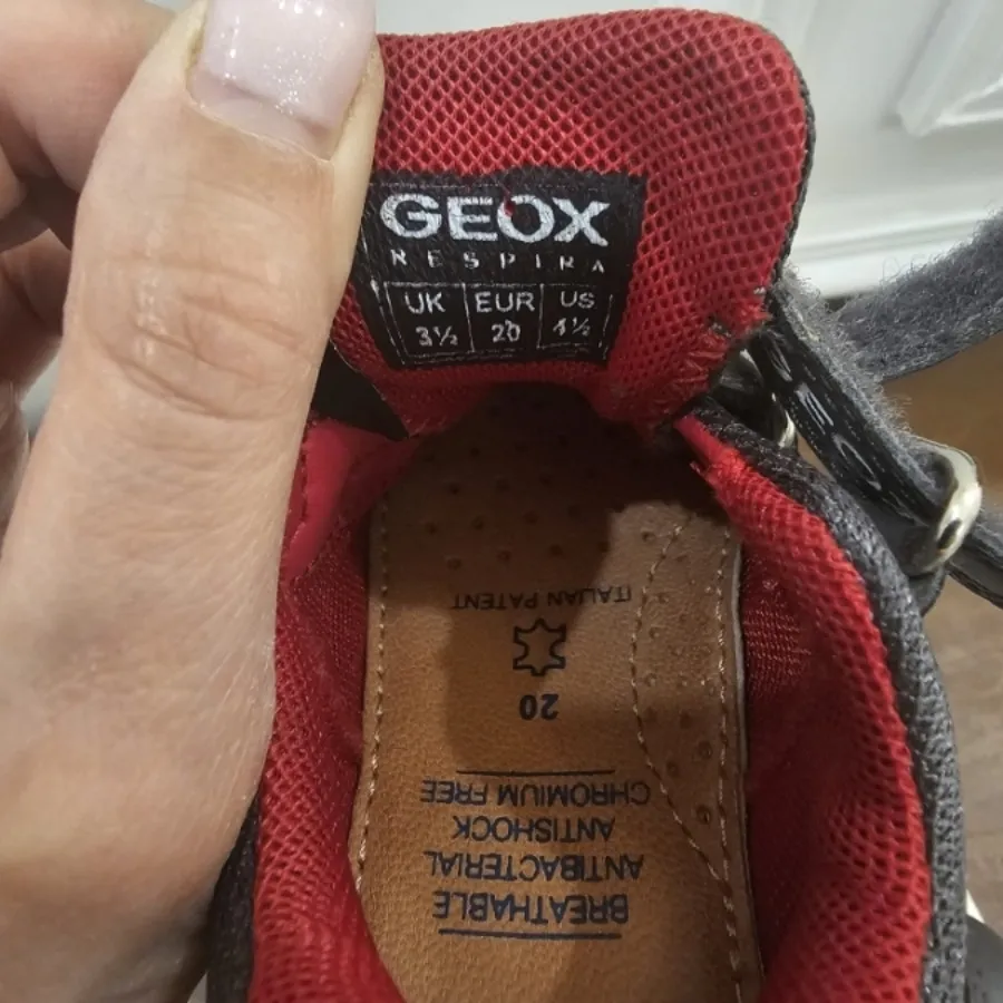 کفشGeox