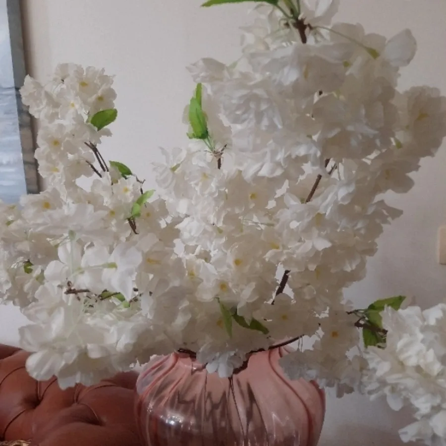 گل شکوفه بلند خارجی