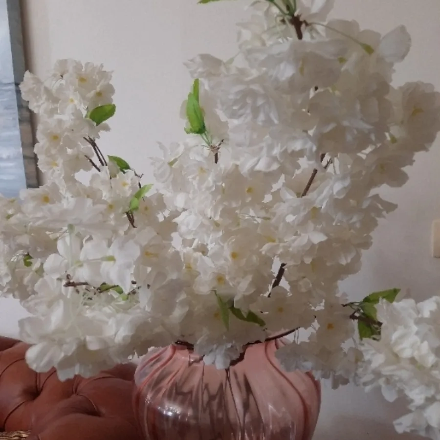 گل شکوفه بلند خارجی